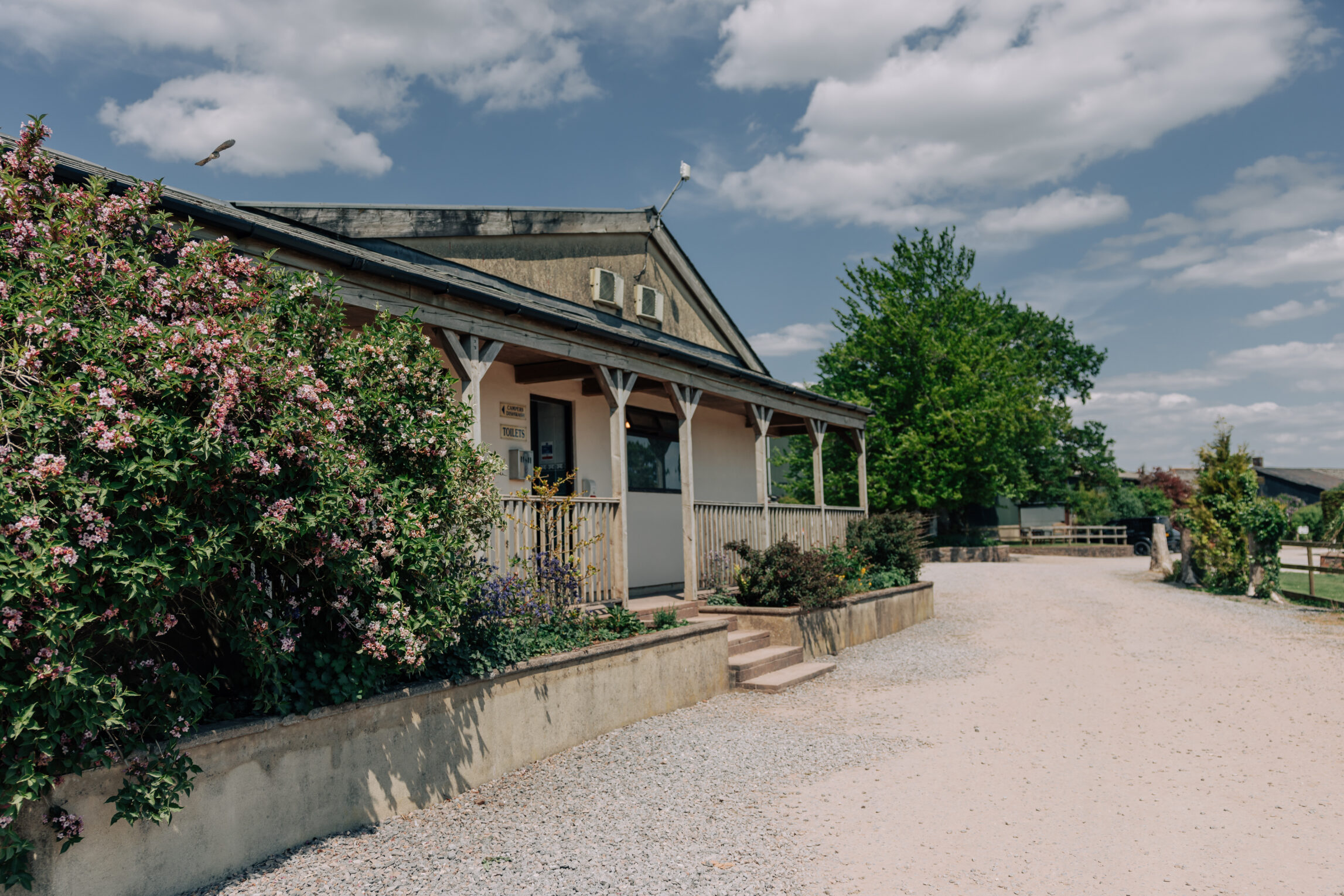 toilet and washroom facilities