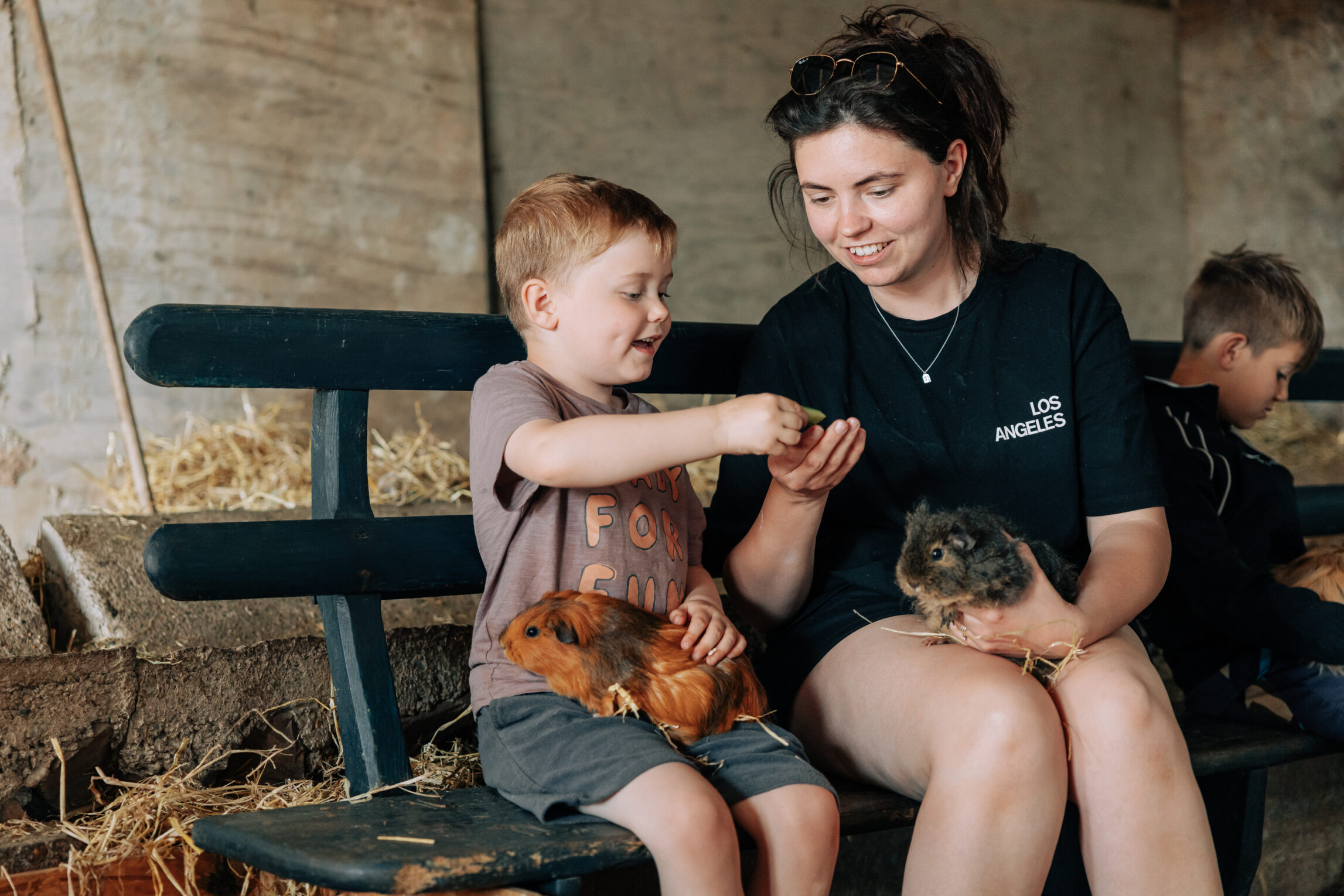 Yeatheridge Farm