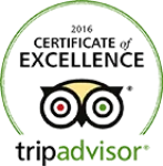 Trip Advisor