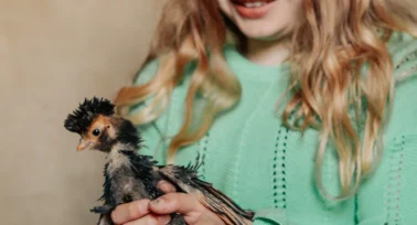 child holding chick